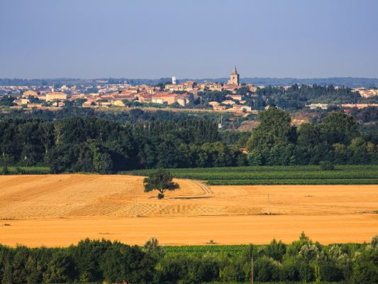 Château de Castelnau