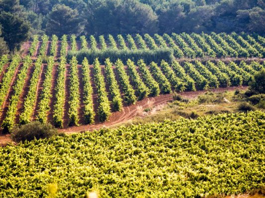 Château de Castelnau