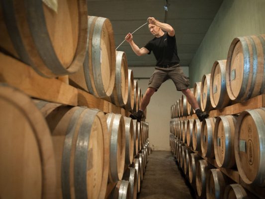 Domaine de l'Arjolle