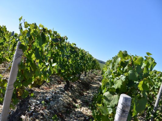 Domaine Raoul Gautherin