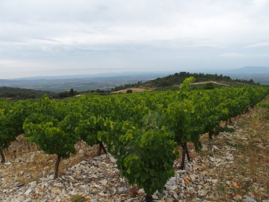 Massamier la Mignarde