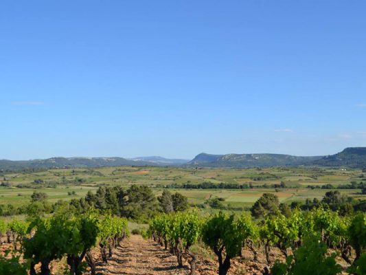 Chаteau Saint-Esteve