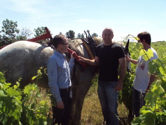 Екипа на Мулен в Лангедок