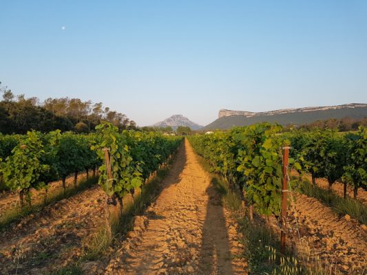 Лозя Bergerie du Capucin