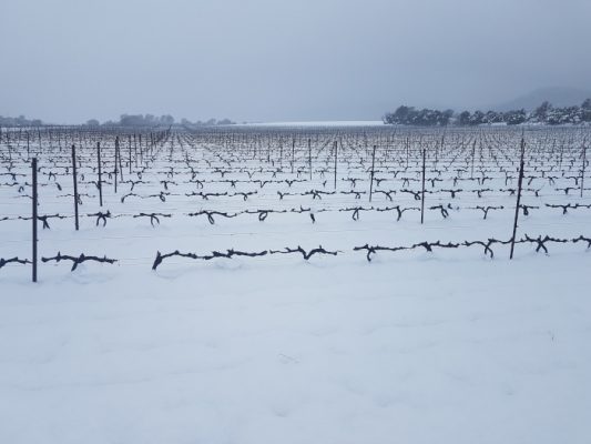 Лозя Bergerie du Capucin