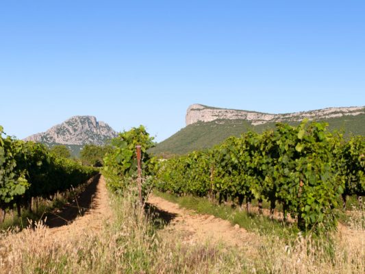 Лозя Bergerie du Capucin