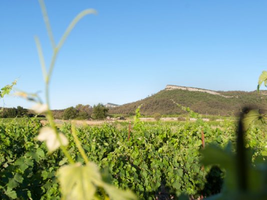 Лозя Bergerie du Capucin