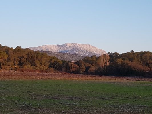 Шато Bergerie du Capucin