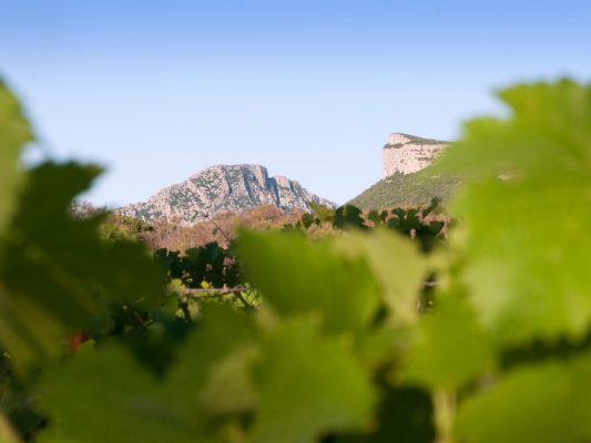 Шато Bergerie du Capucin