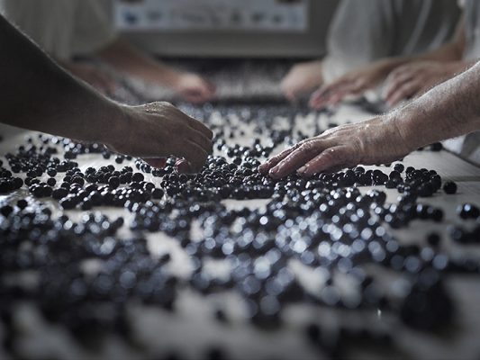 Château de la Négly