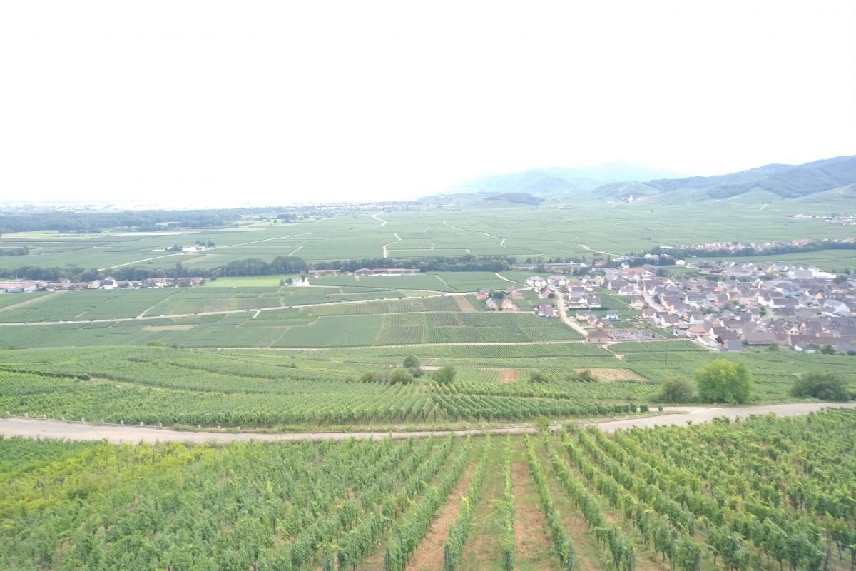 Онлайн магазин за френски вина – Мулен.бг