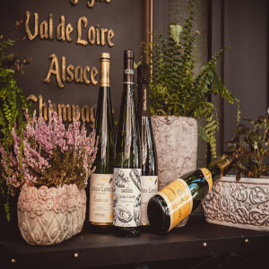 Онлайн магазин за френски вина – Мулен.бг