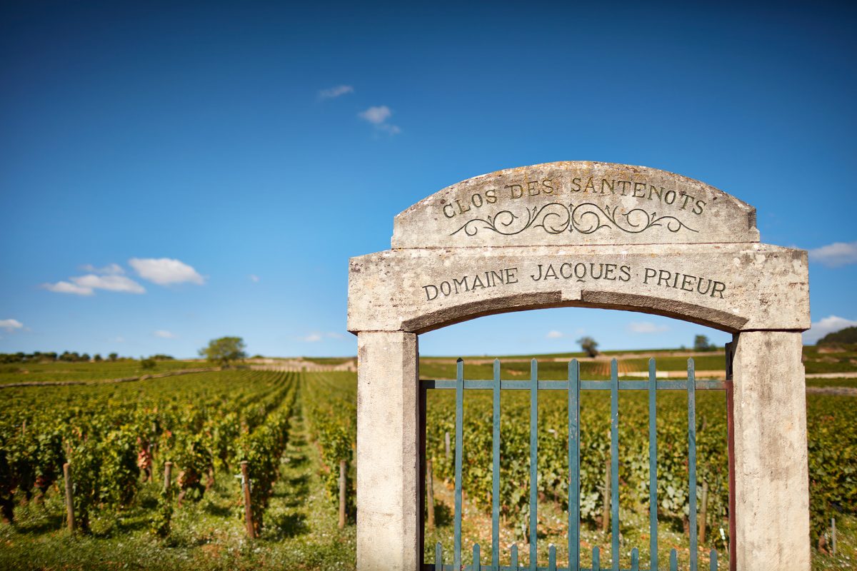 Онлайн магазин за френски вина – Мулен.бг