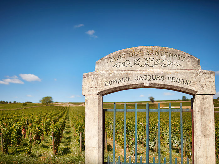 Онлайн магазин за френски вина – Мулен.бг