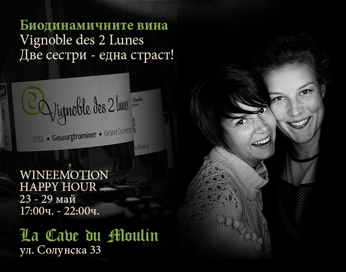 Онлайн магазин за френски вина – Мулен.бг