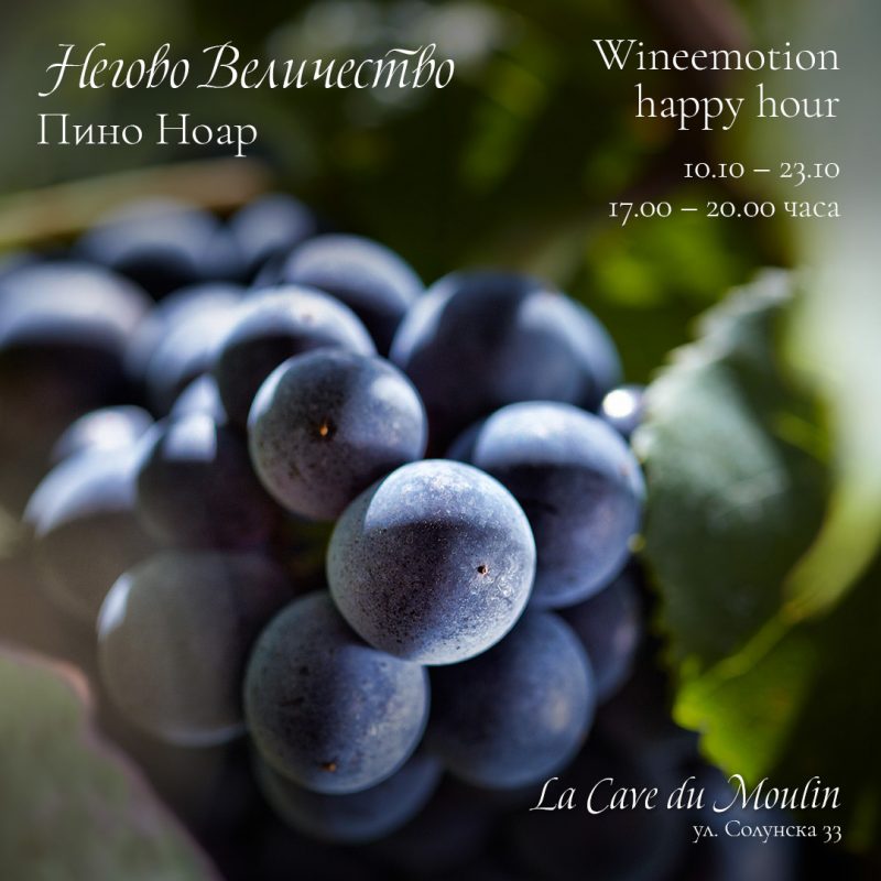 Онлайн магазин за френски вина – Мулен.бг