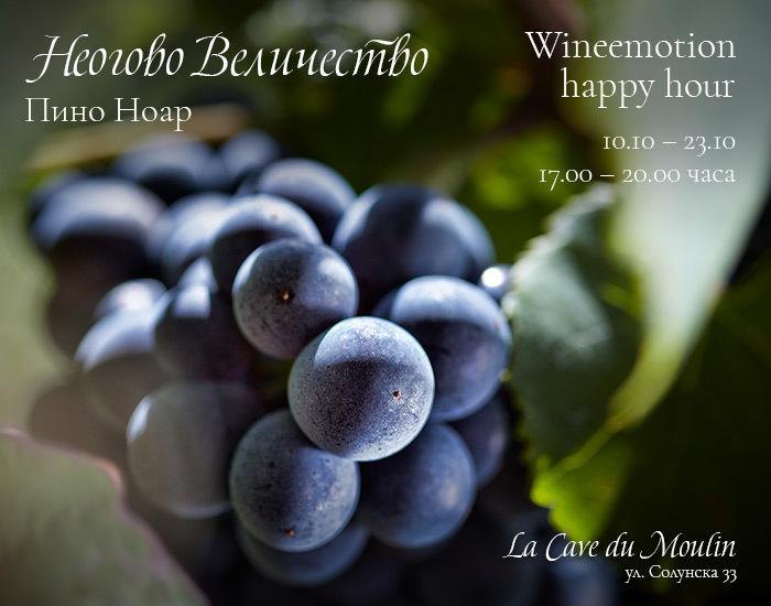 Онлайн магазин за френски вина – Мулен.бг