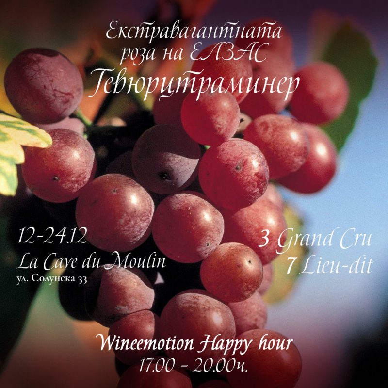 Онлайн магазин за френски вина – Мулен.бг