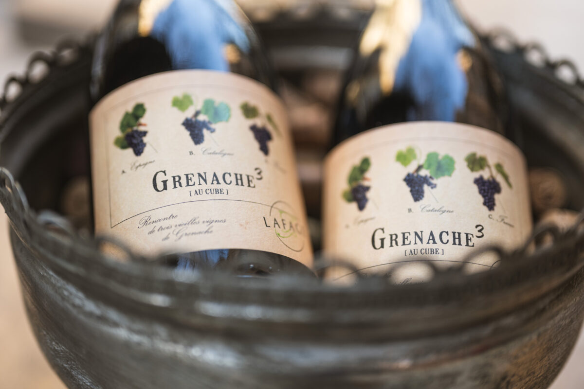 Гренаш Ноар - сорта с много лица - Wineemotion happy hour: 13.03-26.03, 17.00- 21.00 часа