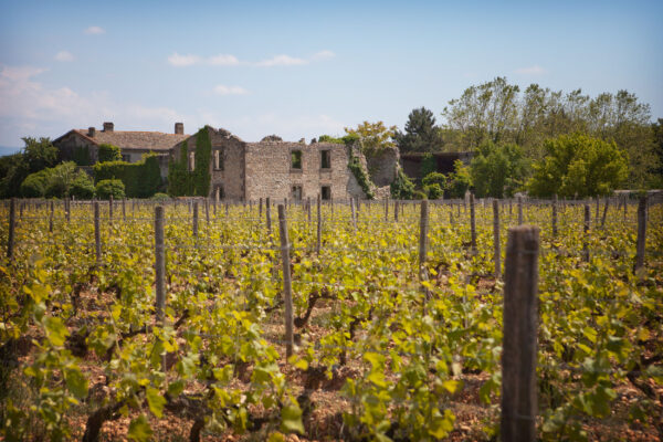 Domaines Paul Jaboulet Aîné