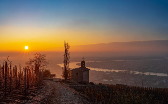 Domaines Paul Jaboulet Aîné
