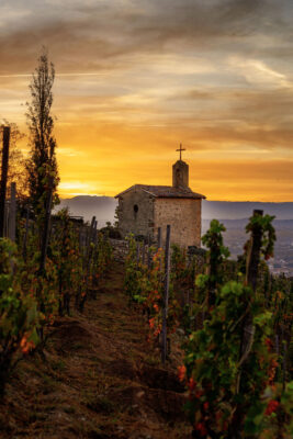 Domaines Paul Jaboulet Aîné