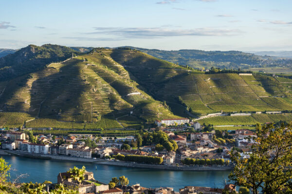 Domaines Paul Jaboulet Aîné