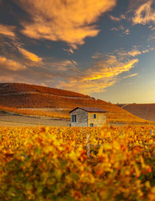 Domaines Paul Jaboulet Aîné
