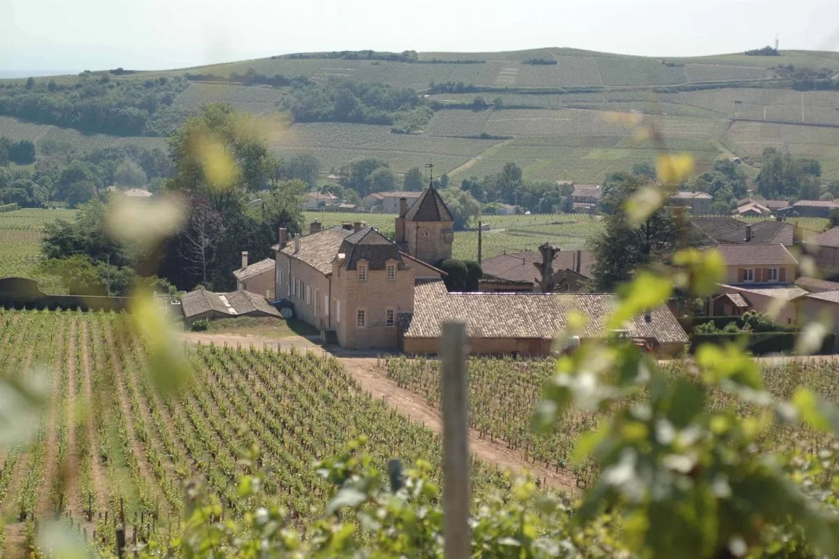 Изключителните вина от Pouilly Fuissé и Pouilly Fumé – толкова еднакви и толкова различни