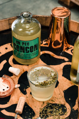 ANIS DES GONES - Distillerie de Lyon