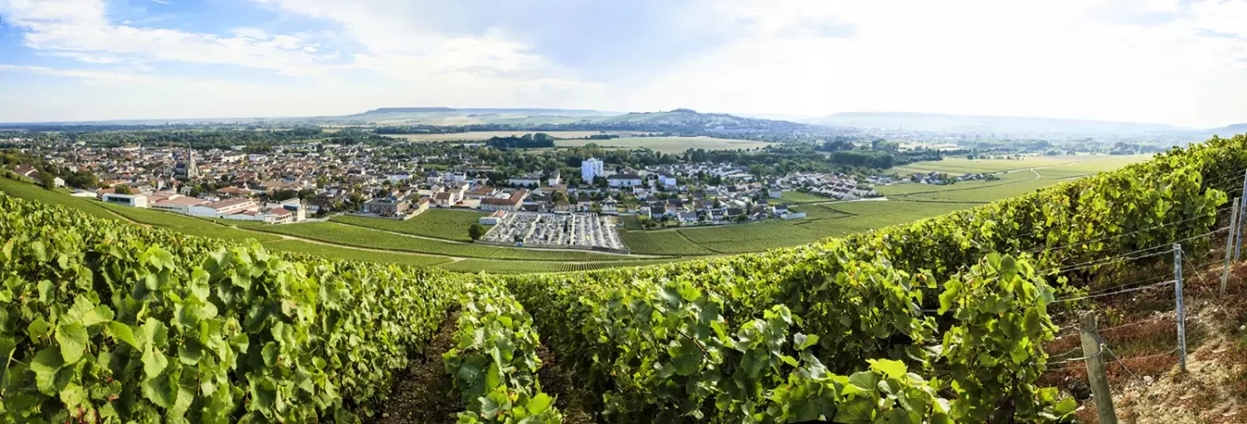 Производители от Шампан