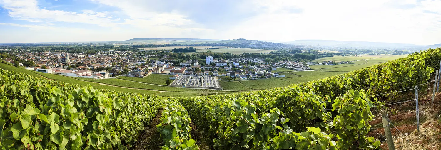 Производители от Шампан