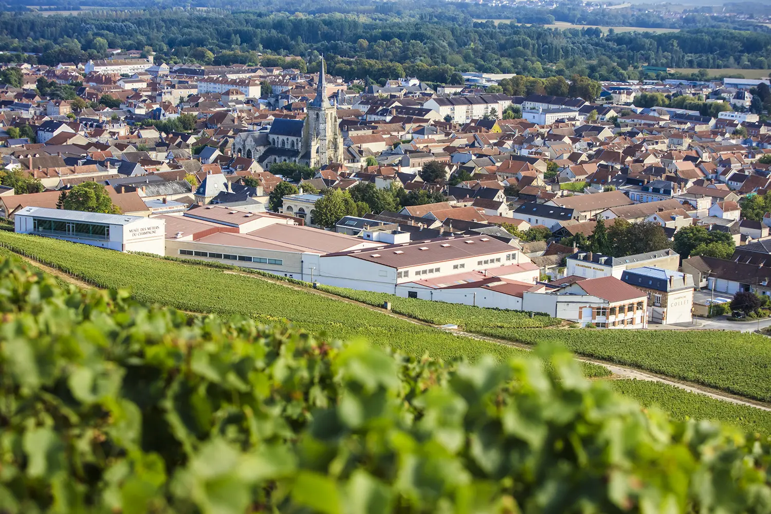Производители от Шампан