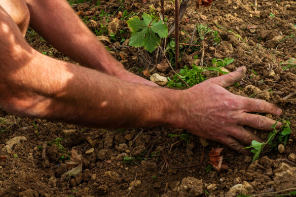 Domaine du Pré Semelé