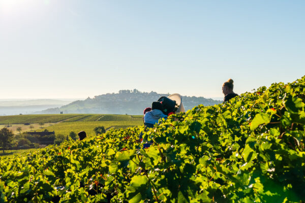 Domaine du Pré Semelé